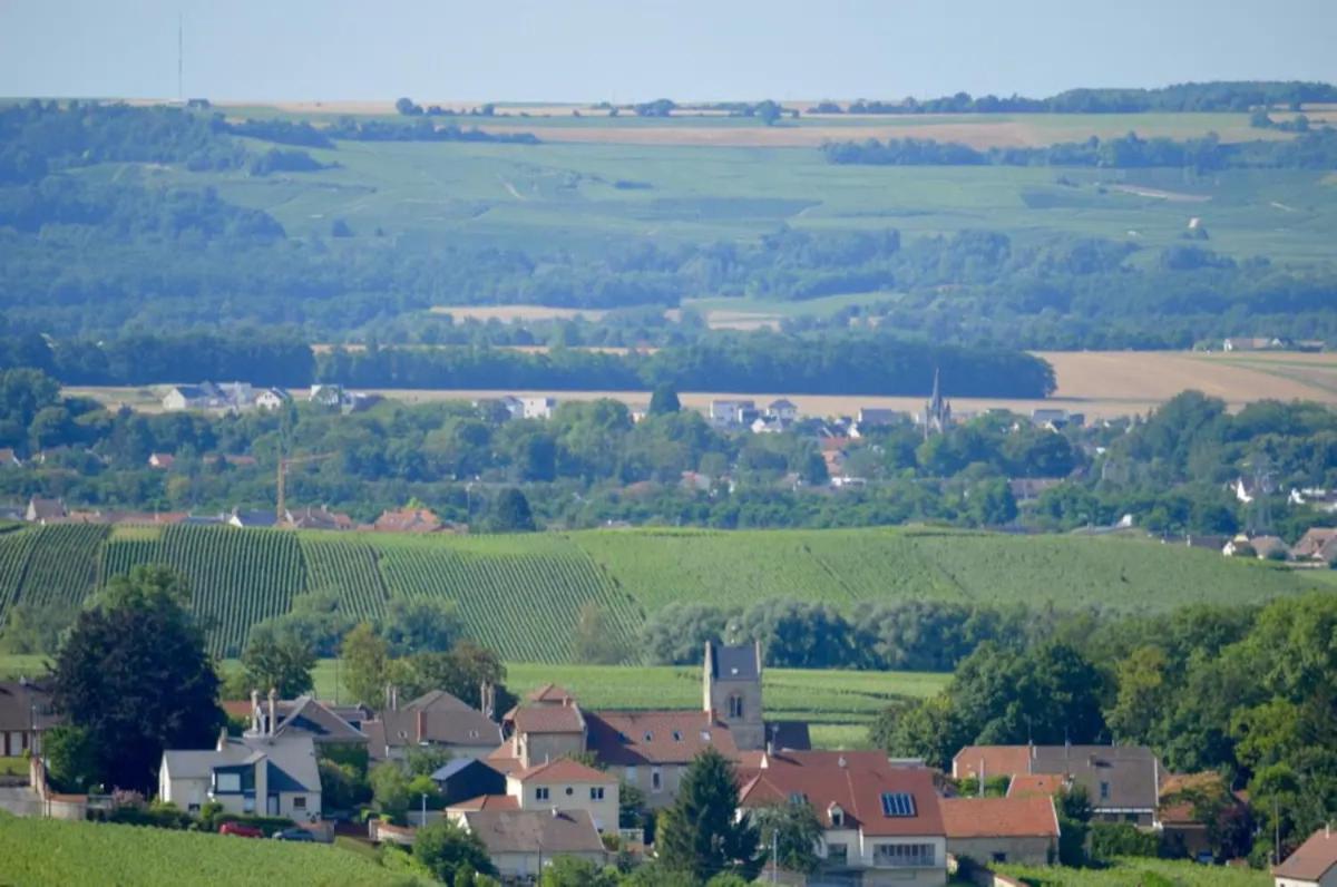 Agreable Maison Petit Jardin A 7 Minutes De Reims Pargny-les-Reims Bagian luar foto
