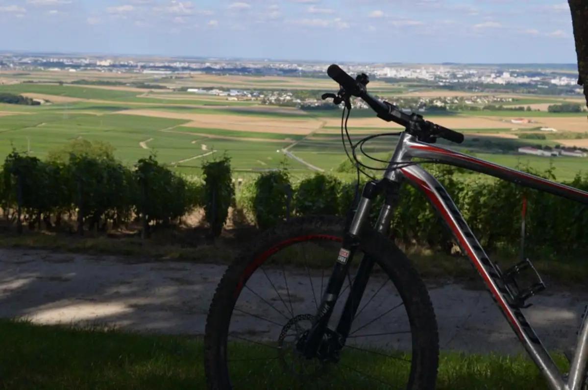 Agreable Maison Petit Jardin A 7 Minutes De Reims Pargny-les-Reims Bagian luar foto